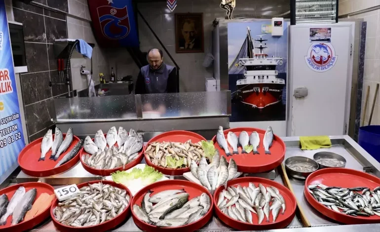Trabzon’da Balık Sezonu: Mezgit ve İstavrit Öne Çıkıyor