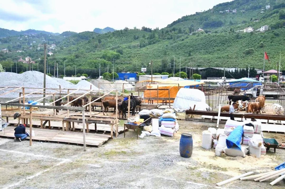 Trabzon’da Kurban Bayramı İçin Hazırlıklar Tamamlandı