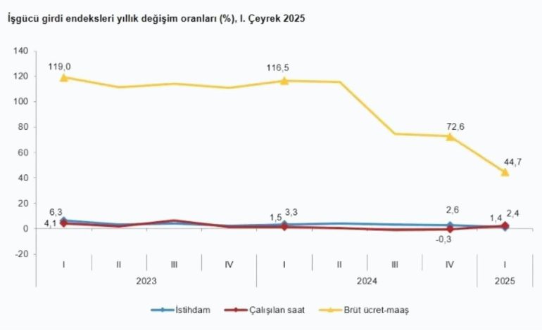 TÜİK 2025 İş Gücü Verilerini Açıkladı