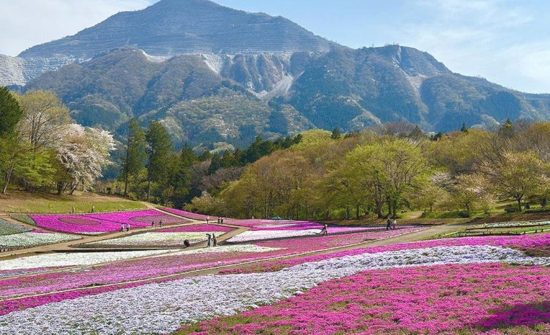 Turistler için dünyanın en iyi ülkesi belli oldu