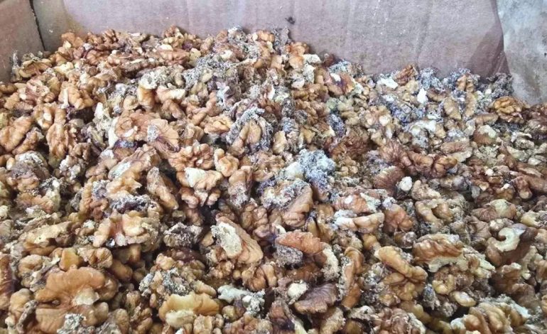 Urfa Yörem Baklavaları’nın Bozuk Ceviz Krizi: 11 Ton mu 3 Ton mu?