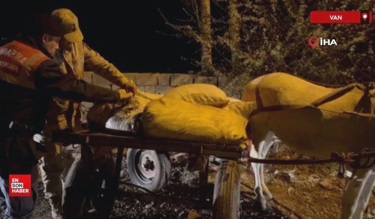 Van’da 3 ton 820 kilo kaçak avlanmış balık ele geçirildi