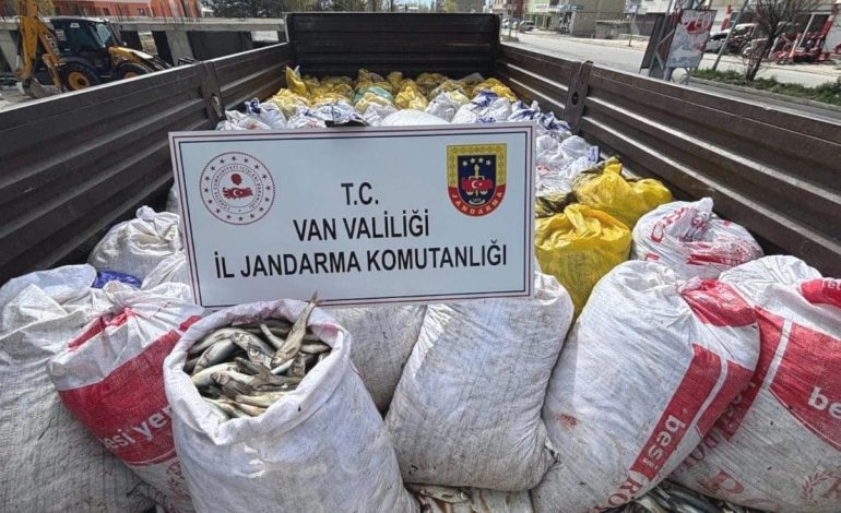 Van’da 3.8 ton inci kefali ele geçirildi