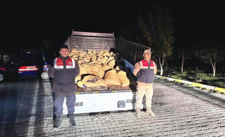 Van’da Kaçak İnci Kefali Operasyonu