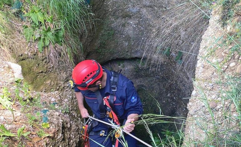 Yedi yavru kuyuya düştü! İtfaiye kurtardı