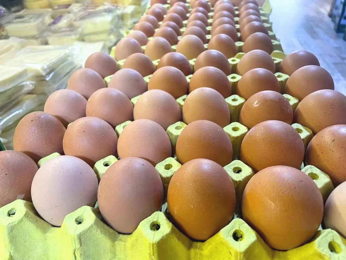 Yumurta Kabuğunun Sanayi Potansiyeli Vurgulandı