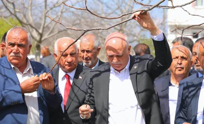 Zirai Don Felaketi: Meyve Bahçelerinde Yüzde 100 Zarar