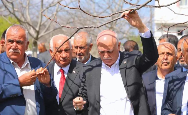 Zirai Don Felaketi Meyve Bahçelerini Vurdu