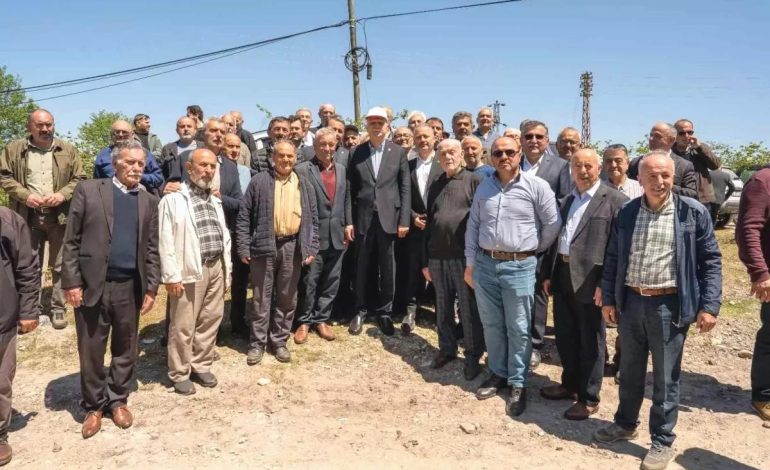 Zirai Don Fındık Bahçelerini Vurdu